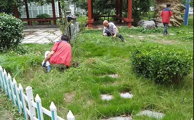 &#20061;&#28216;&#24179;&#21488;&#45;&#20061;&#28216;&#40;&#20013;&#22269;&#41;&#19968;&#31449;&#24335;&#26381;&#21153;&#24179;&#21488;