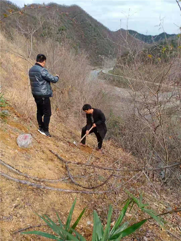 &#20061;&#28216;&#24179;&#21488;&#45;&#20061;&#28216;&#40;&#20013;&#22269;&#41;&#19968;&#31449;&#24335;&#26381;&#21153;&#24179;&#21488;