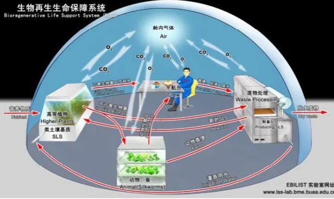 &#20061;&#28216;&#24179;&#21488;&#45;&#20061;&#28216;&#40;&#20013;&#22269;&#41;&#19968;&#31449;&#24335;&#26381;&#21153;&#24179;&#21488;